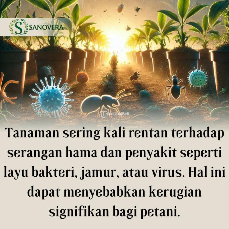 Pupuk Primaxter PMX Atasi Segala Macam Penyakit dan Serangan Hama - Pasuruan