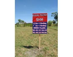 Tanah Luas 100 m2 SHM For Sale  For Rent Sangat Strategis Kavling SHM Di Pemenang Timur - Lombok Utara