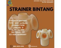 Strainer Bintang Filter - Depok