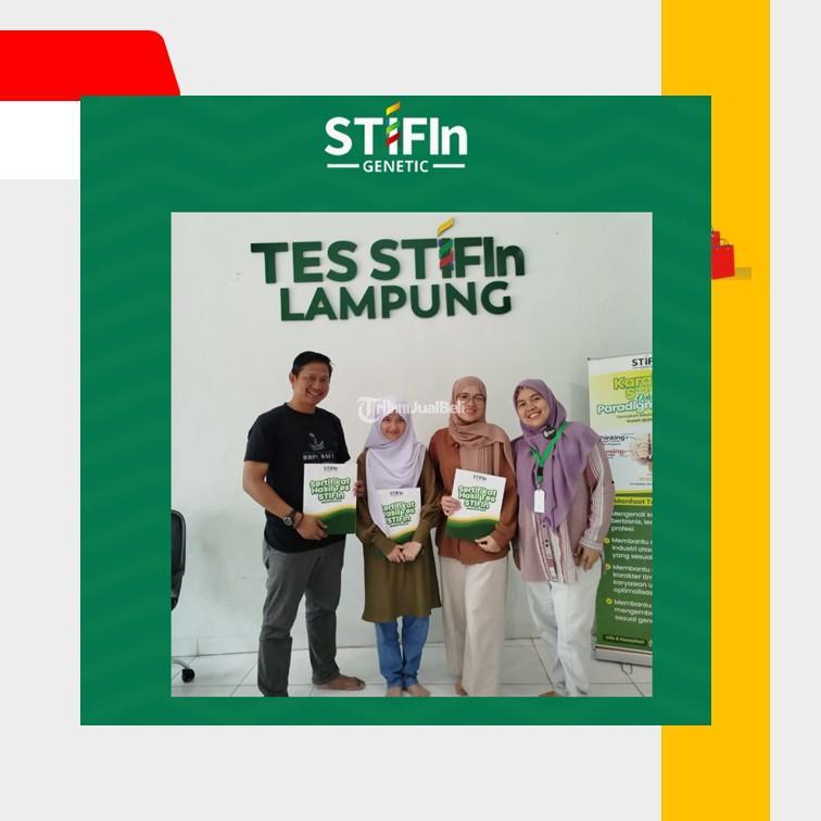 Tes STIFIn Terbaik dan Terpercaya - Bandar Lampung