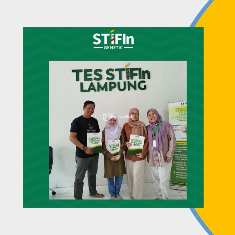 Tes STIFIn Terbaik dan Terpercaya - Bandar Lampung