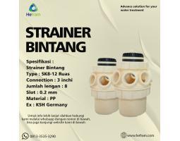 Strainer Bintang 3 inch - Bogor