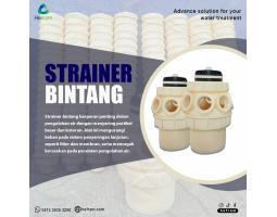 Strainer Bintang - Bogor