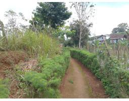 Dijual Tanah Kebun Luas 2866m SHM Produktif dan Strategis - Tasikmalaya