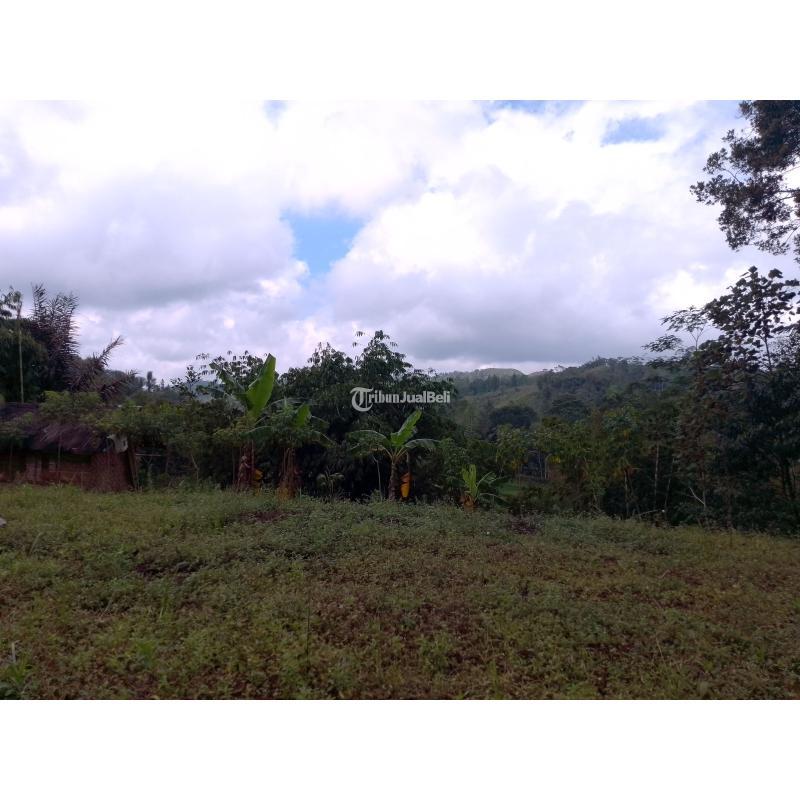 Jual Tanah Kebun Luas 2866m SHM Produktif dan Strategis - Tasikmalaya