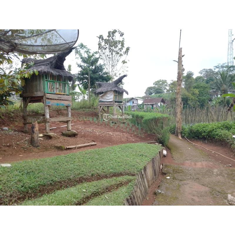 Jual Tanah Kebun Luas 2866m SHM Produktif dan Strategis - Tasikmalaya