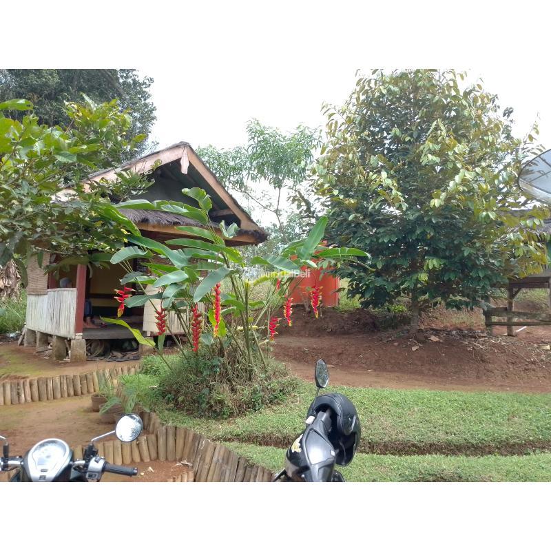 Jual Tanah Kebun Luas 2866m SHM Produktif dan Strategis - Tasikmalaya