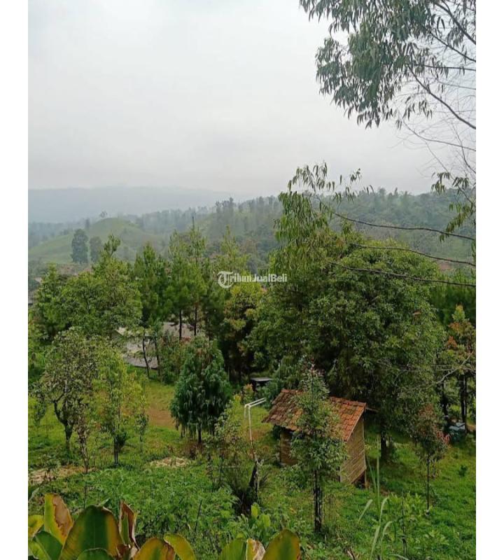 Jual Tanah Kavling Luas 14.000 m2 Siap Bangun Plus Villa Gambung Ciwidey Bandung Selatan - Bandung