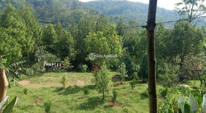 Jual Tanah Kavling Luas 14.000 m2 Siap Bangun Plus Villa Gambung Ciwidey Bandung Selatan - Bandung
