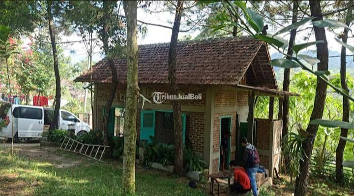 Jual Tanah Kavling Luas 14.000 m2 Siap Bangun Plus Villa Gambung Ciwidey Bandung Selatan - Bandung