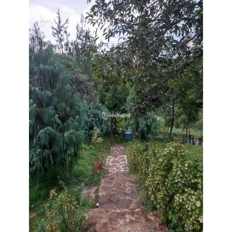 Jual Tanah Kavling Luas 14.000 m2 Siap Bangun Plus Villa Gambung Ciwidey Bandung Selatan - Bandung
