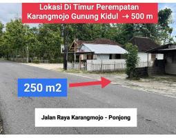 Dijual Tanah Strategis, Luas 1450m2, Area Padat Penduduk, Cocok untuk Investasi Properti, di Karangmojo, Gunung Kidul - Yogyakarta