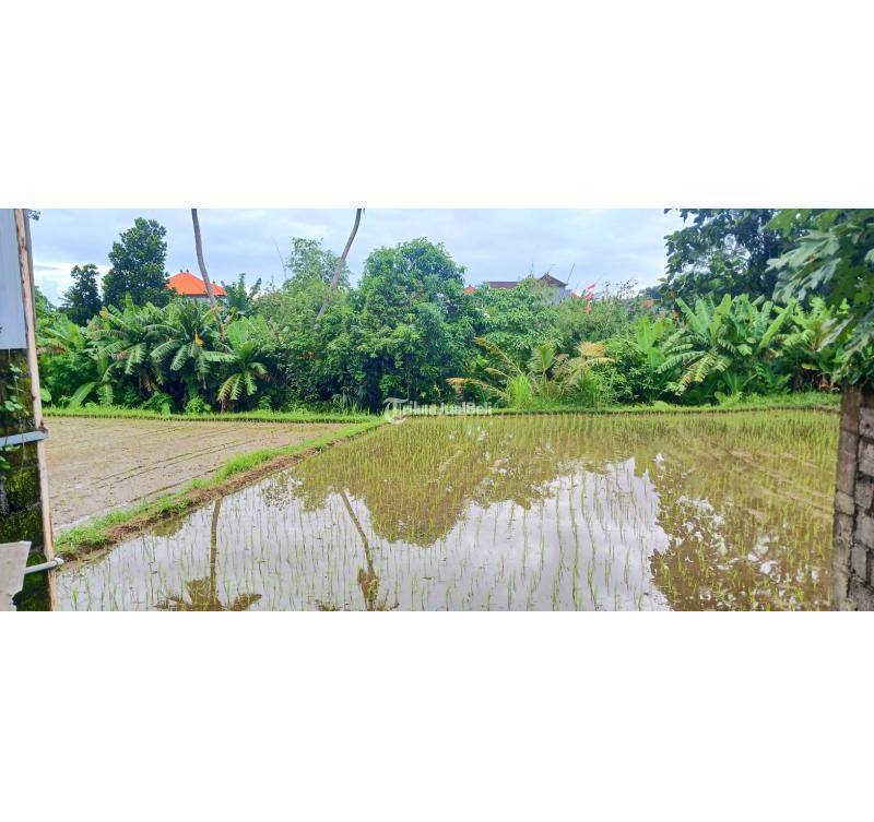 Dijual Tanah 40 Are Jalan Ahmad Yani Utara Peguyangan - Denpasar