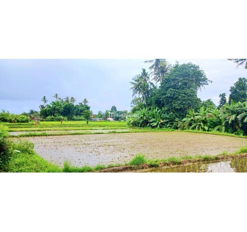 Dijual Tanah 40 Are Jalan Ahmad Yani Utara Peguyangan - Denpasar