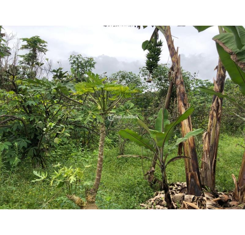 Dijual Villa Batu Malang 3KT 3KM SHM View Bagus - Batu