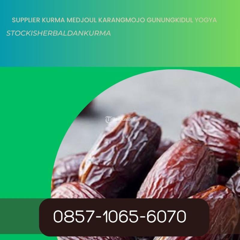 Supplier KURMA MEDJOUL KARANGMOJO GUNUNGKIDUL JOGJA