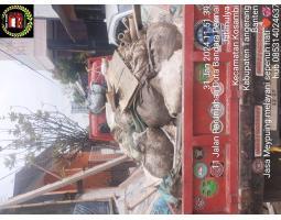 Jasa buang puing termurah