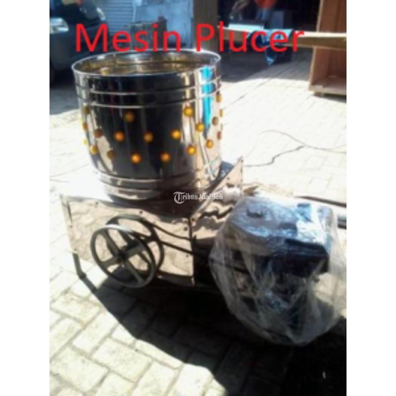 TERBAIK Plucer Mesin Untuk Mencabut bulu ayam Hub Billy : 081285840002)
