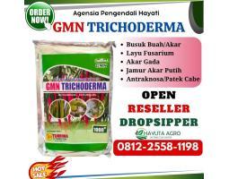 SEDANG DISKON TELP 0812-2558-1198, Agen Obat Busuk Akar Pada Pepaya Pati, GROSIR Obat Busuk Akar Tanaman Purworejo, HARGA Obat Busuk Akar Padi Wonogiri