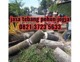 tebang pohon panggilan jogja