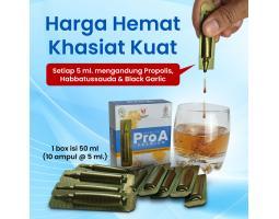 Propolis Pro A Premium Habbatussauda Black Garlic, Malang, Surabaya, Denpasar