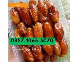 Distributor kurma tunisia Ngawen Gunungkidul Yogyakarta