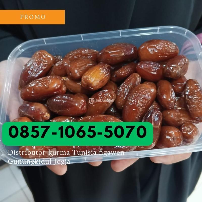 Distributor kurma tunisia Ngawen Gunungkidul Yogyakarta
