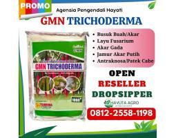HARGA KHUSUS TELP 0812-2558-1198, GROSIR Obat Busuk Akar Tanaman Purworejo, HARGA Obat Busuk Akar Padi Wonogiri, AGEN Obat Busuk Akar Pada Alpukat Demak