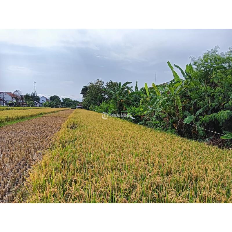 Tanah Bonus Bangunan Lama Di Tengah Kota Jogja