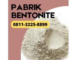 BERKUALITAS Pabrik Lempung Bentonit di Lima Puluh Kota, Pabrik Bentonite Untuk Kulit di Lima Puluh Kota