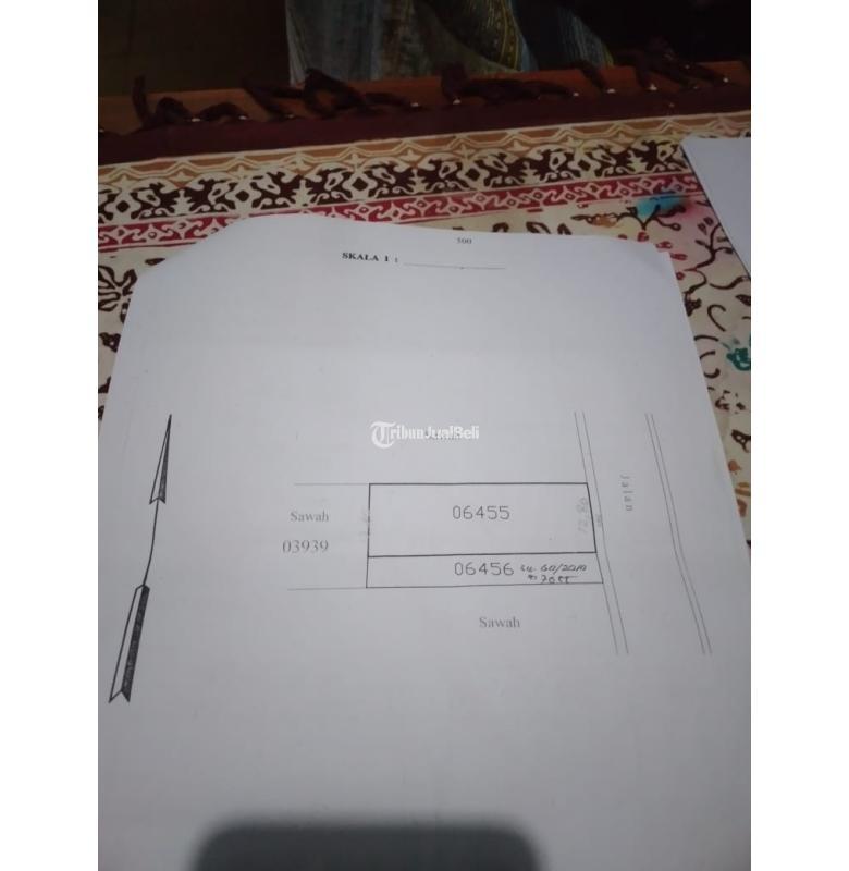 Pekarangan Strategis Tepi JL Raya Letkol Subadri