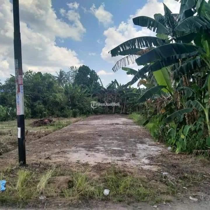 Tanah ukuran 190m2  lebar 11,42 panjang 16,60 SERTIFIKAT SHM lokasi  Jl.petani Gg.harapan 4Jl.sukamulia Gg.Sukma 23  Area