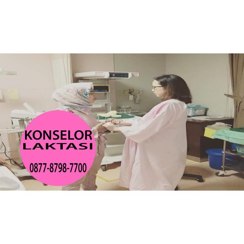 Konselor Laktasi Online di Bekasi Acelin Baby Spa