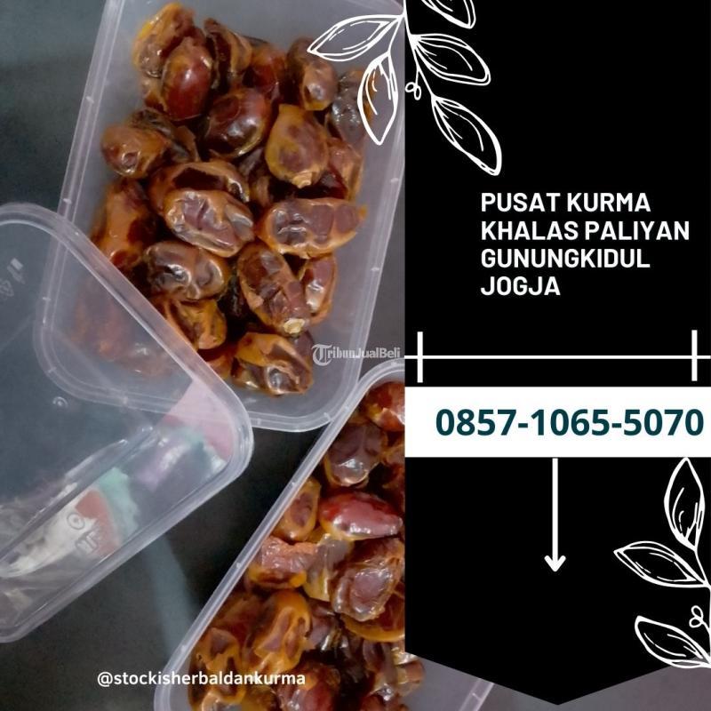 Pusat kurma khalas Paliyan Gunungkidul Yogyakarta