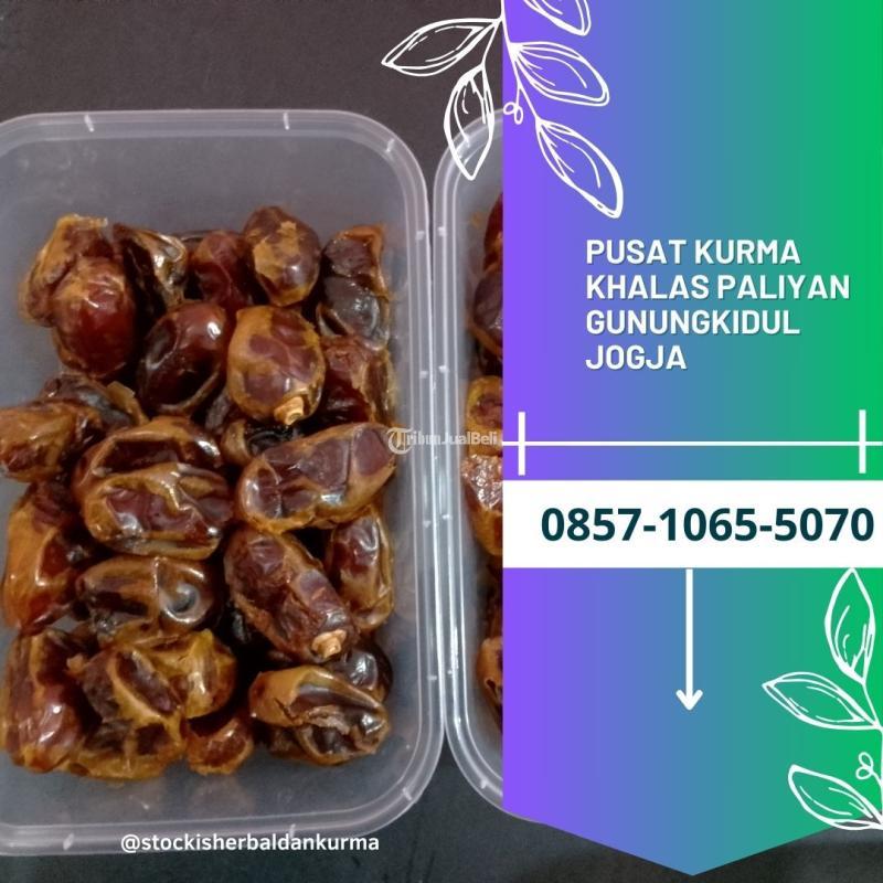 Pusat kurma khalas Paliyan Gunungkidul Yogyakarta