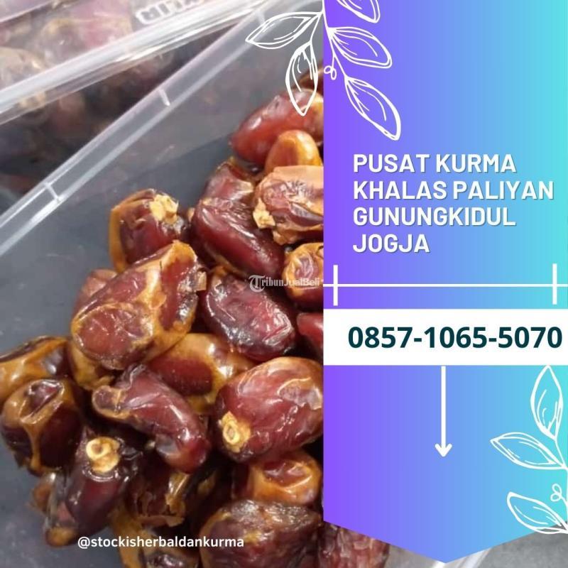 Pusat kurma khalas Paliyan Gunungkidul Yogyakarta