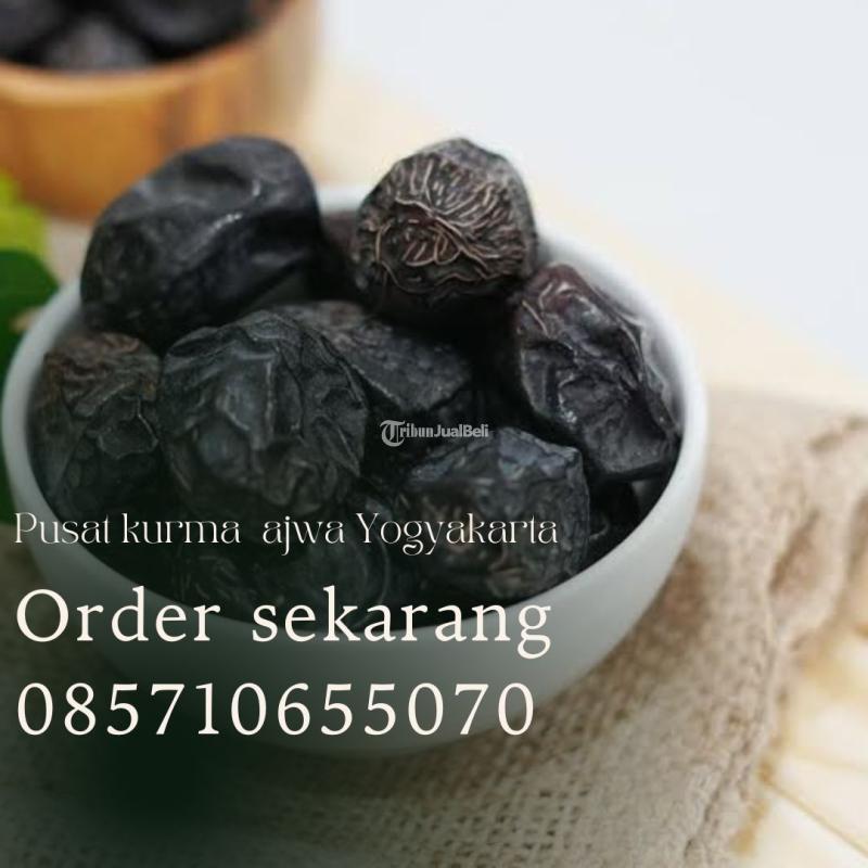 Pusat kurma ajwa Paliyan Gunungkidul Yogyakarta