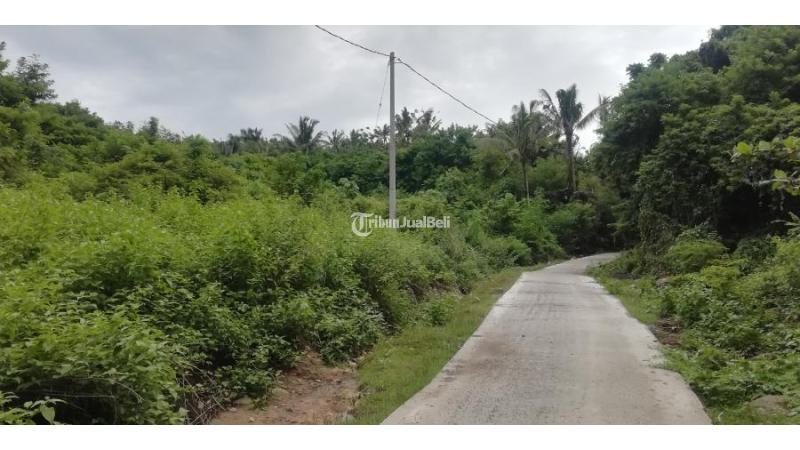 Tanah Pantai Soan Galuh Selemadeg Tabanan Bali