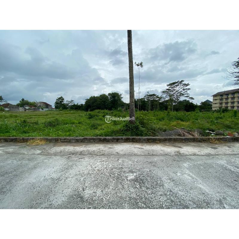 Tanah Sawah Strategis Di Degolan Jogja Utara Dekat Kampus UII