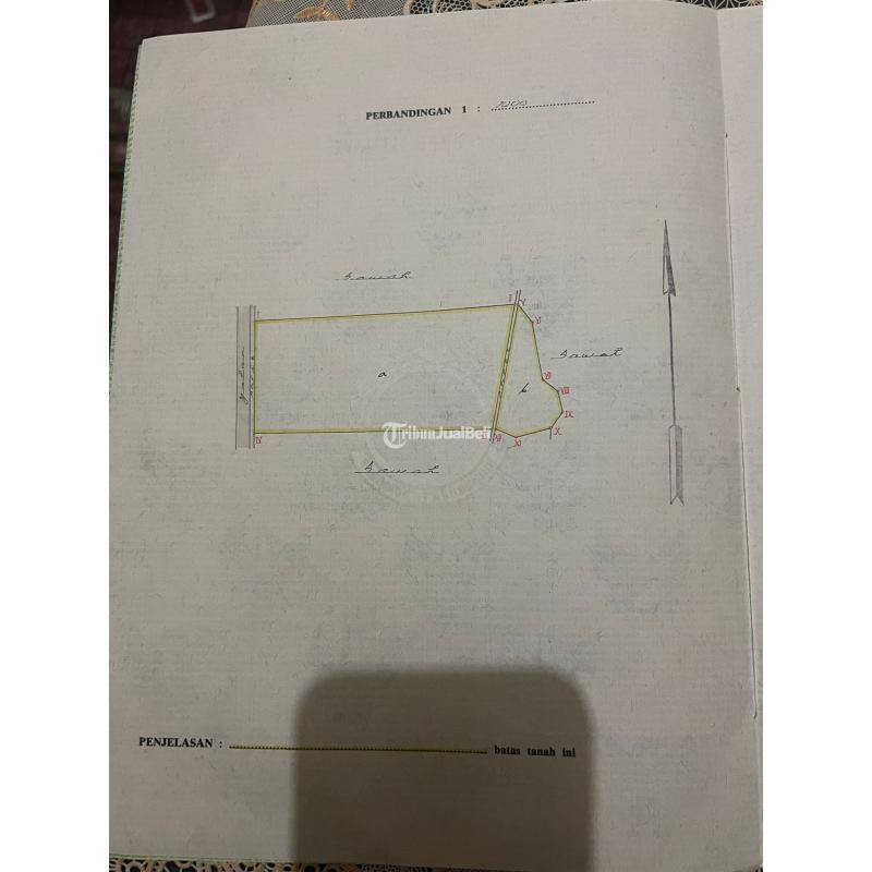 Tanah Sawah Strategis Di Degolan Jogja Utara Dekat Kampus UII