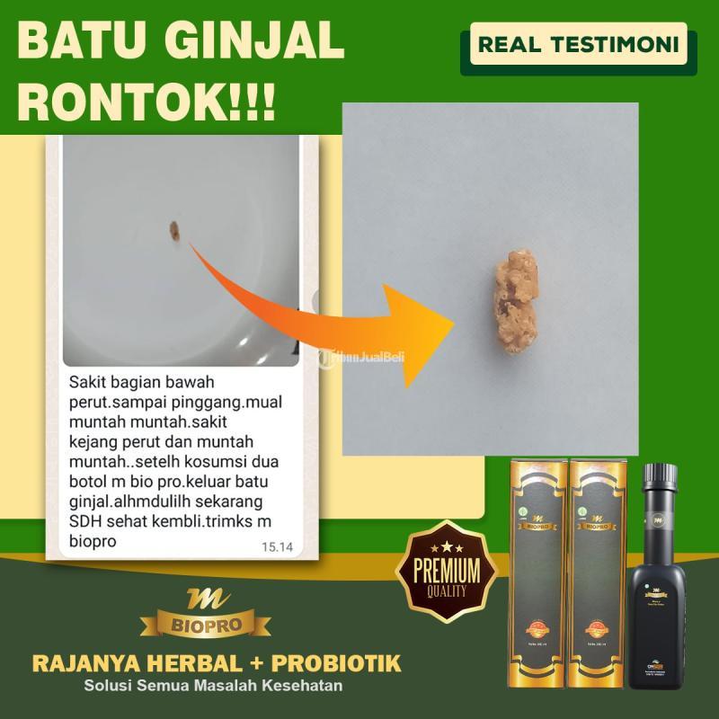 M Biopro Herbal Alami Obat Batu Ginjal Paling Ampuh Di Apotik Reaksi Cepat