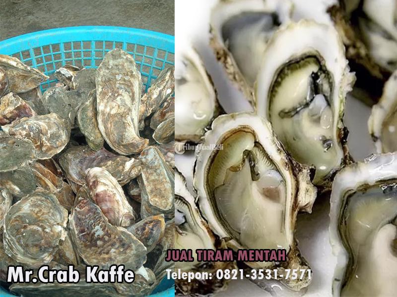 Kepiting Kerang Tiram Dan Berbagaimacam Kebutuhan Makan Mr Crab