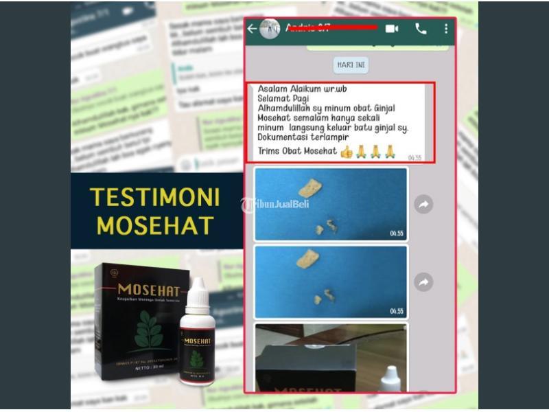 mosehat original obat herbal ampuh berkhasiat exstrak moringa habbatussauda propolis