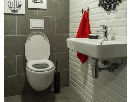 Jasa Sedot WC Pangkalan Balai, Bantu Kembalikan Kenyamanan di Toilet