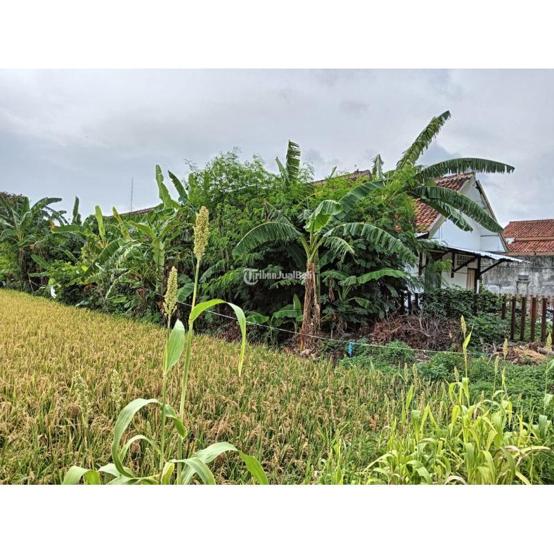 Tanah Bonus 3 Rumah Lama. Dekat Dengan XT Square