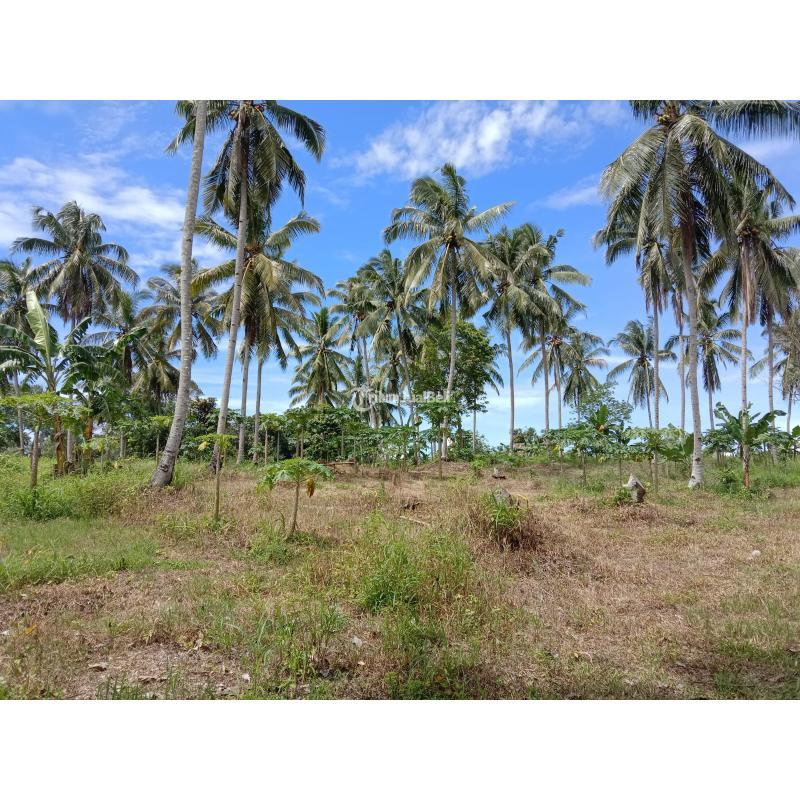 TANAH SIAP BANGUN PABRIK LOKASI DI LAMPUNG SELATAN