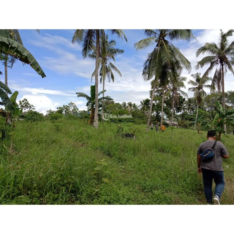 TANAH SIAP BANGUN PABRIK LOKASI DI LAMPUNG SELATAN