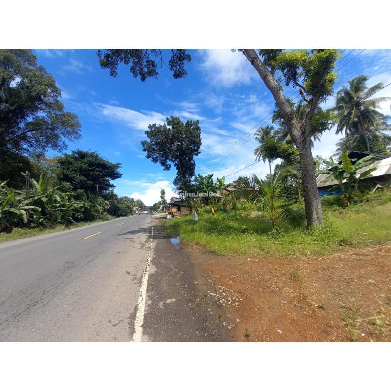 LAHAN SIAP BANGUN DI PINGIR JALAN LINTAS SUMATRA LAMPUNG SELATAN