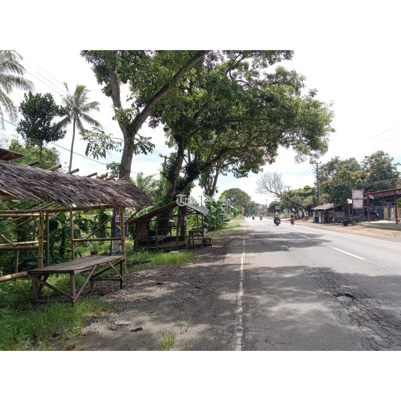 LAHAN SIAP BANGUN DI PINGIR JALAN LINTAS SUMATRA LAMPUNG SELATAN