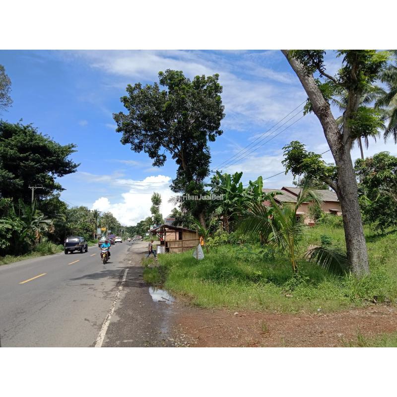 LAHAN SIAP BANGUN DI PINGIR JALAN LINTAS SUMATRA LAMPUNG SELATAN